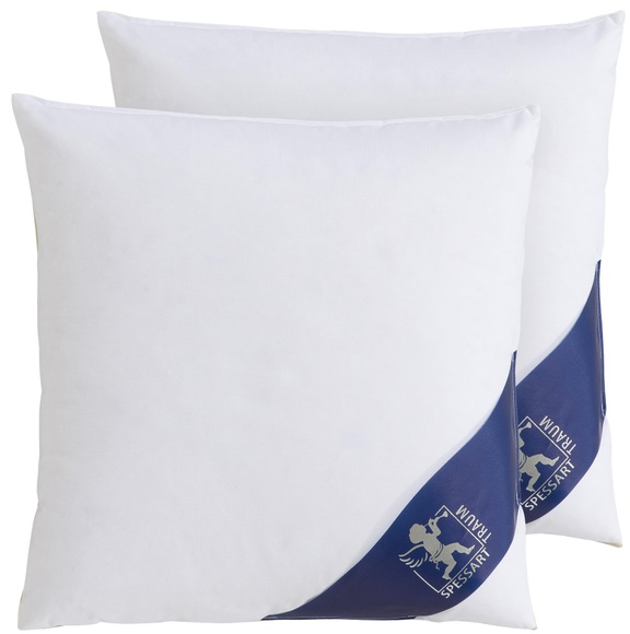 SPESSARTTRAUM Daunenkissen »Kissen-Set FIRST CLASS«, Füllung: 90% Daunen, 10%Federn, Bezug: 100% Baumwolle, (Spar-Set, 2 St.)