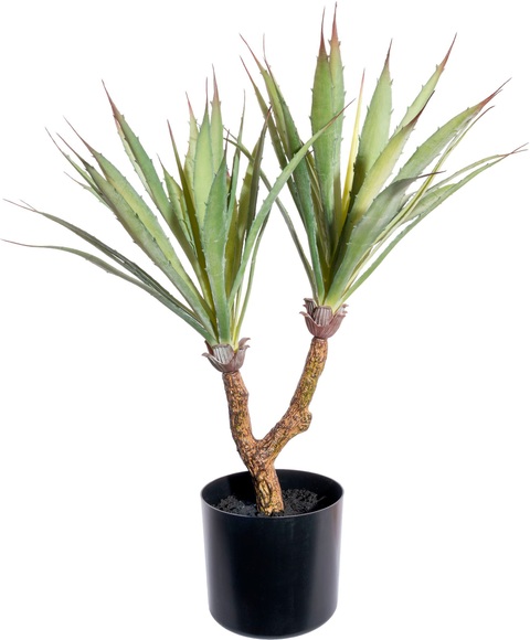 Creativ green Künstliche Zimmerpflanze »Dracaena draco«, (1 St.), im Topf