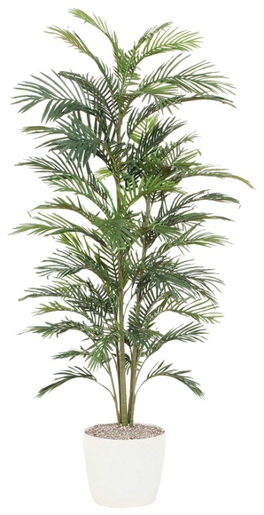 Creativ green Kunstpalme »Palme«