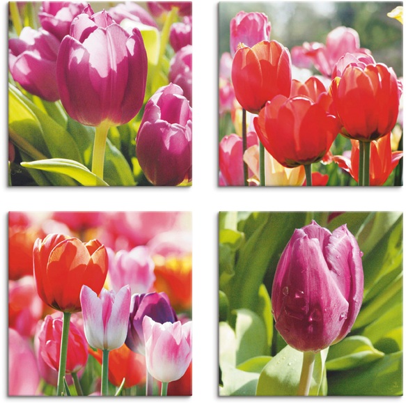 Artland Leinwandbild »Frühling und Tulpen«