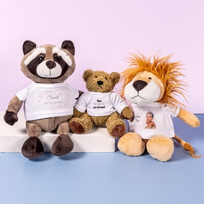 Teddybär