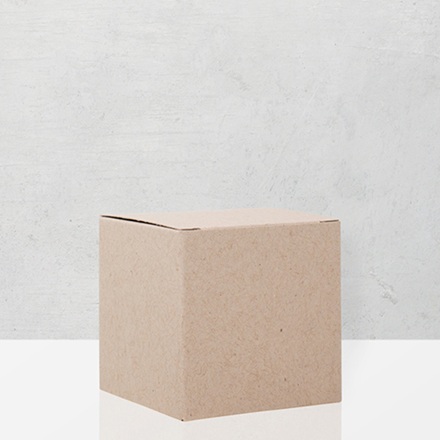 Partybox beige (24er Set)