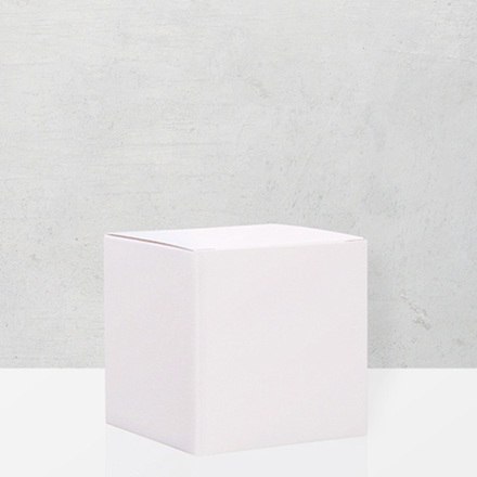 Partybox weiss (24er Set)
