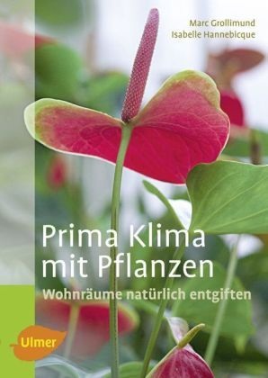 Prima Klima mit Pflanzen