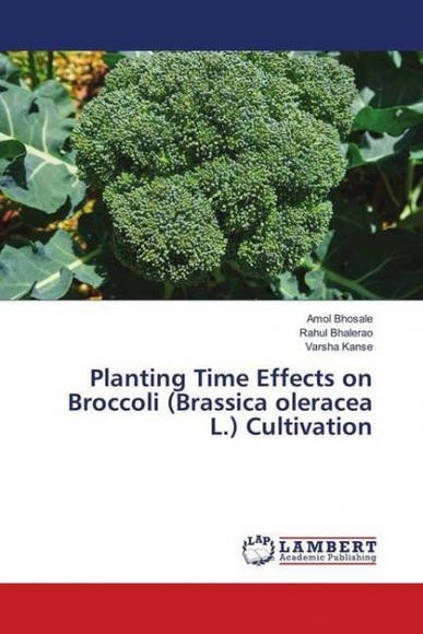 Planting Time Effects on Broccoli (Brassica oleracea L.) Cultivation