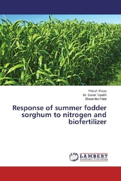 Response of summer fodder sorghum to nitrogen and biofertilizer