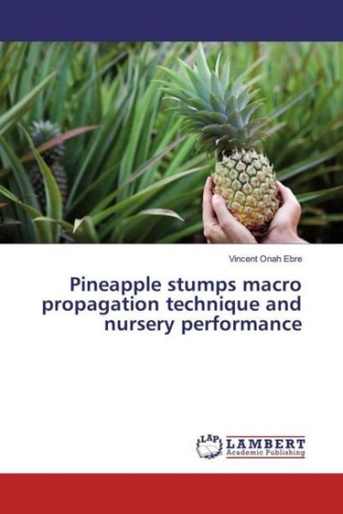 Pineapple stumps macro propagation technique and nursery performance