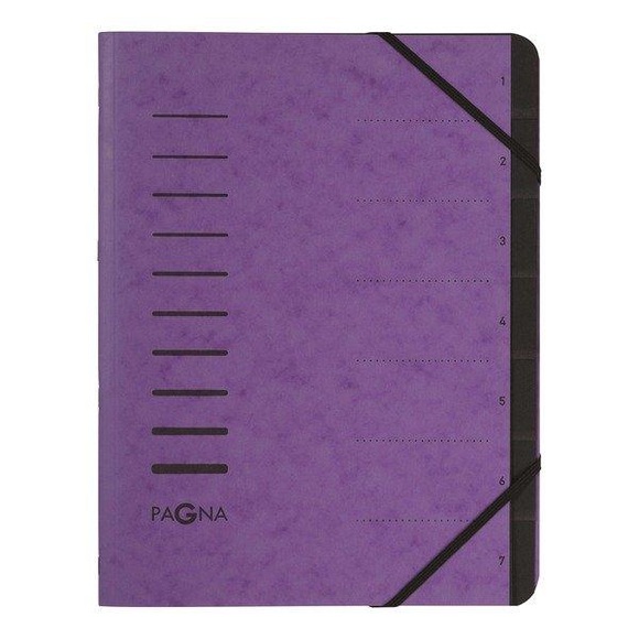 Pagna 40058-10 folder A4 Aubergine
