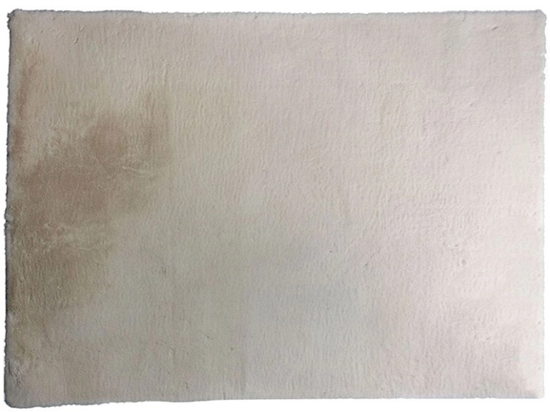 Teppich EXTRA 160x230cm