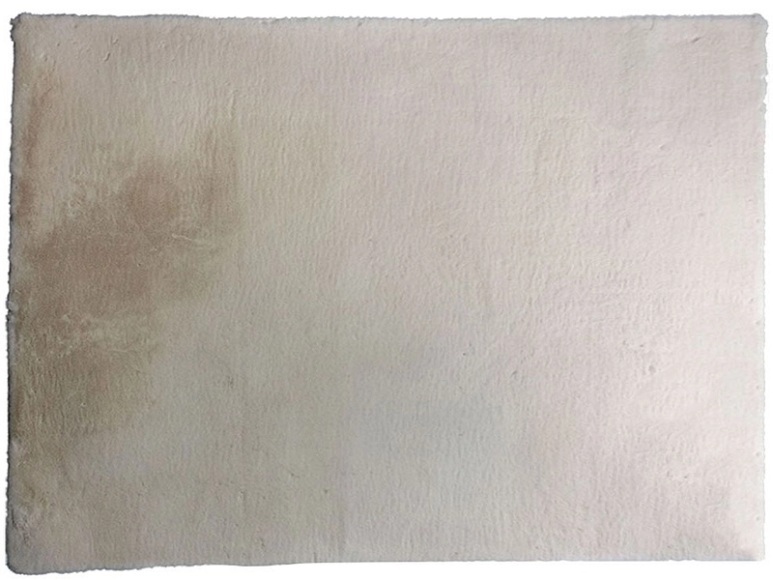 Teppich EXTRA 200x290cm