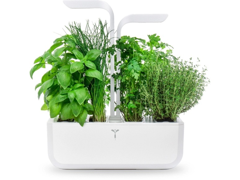 VERITABLE CLASSIC - Indoor-Kräutergarten (Weiss)