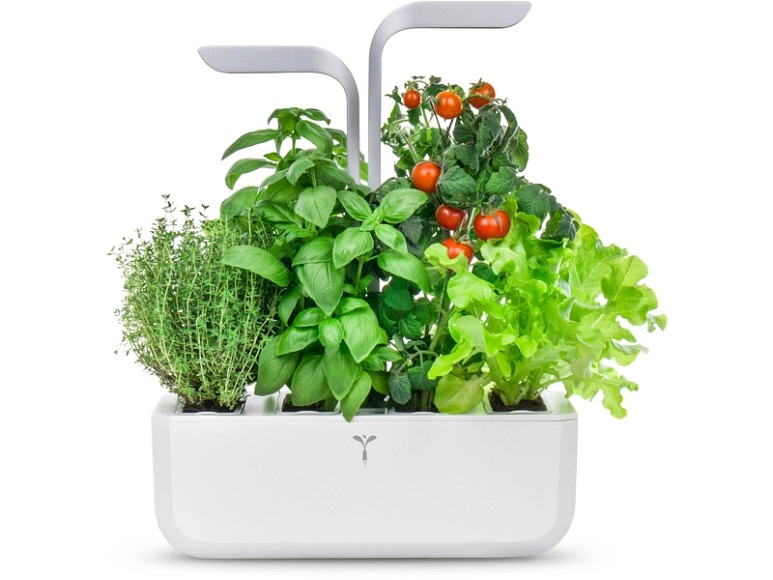 VERITABLE Smart - Indoor-Kräutergarten (Weiss)