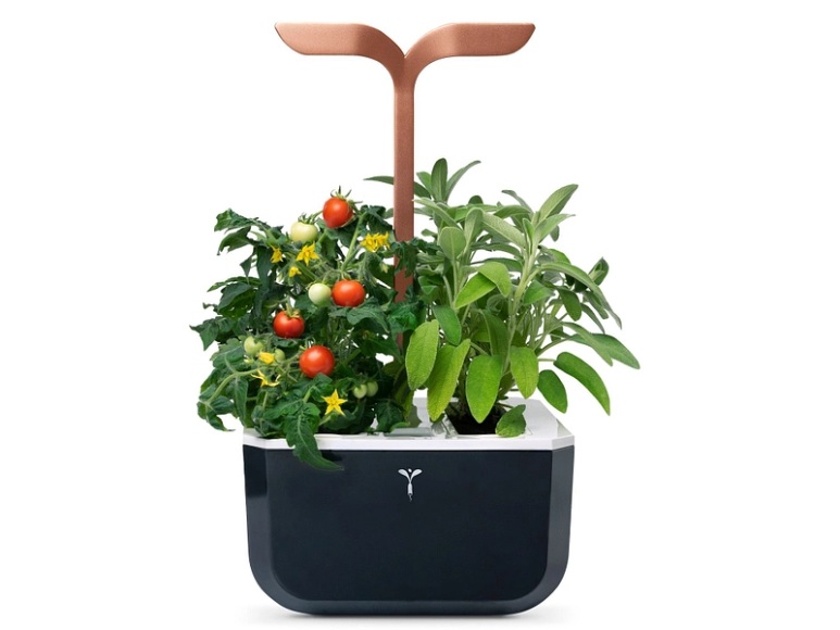 Véritable Exky® Smart Kräutergarten kupfer