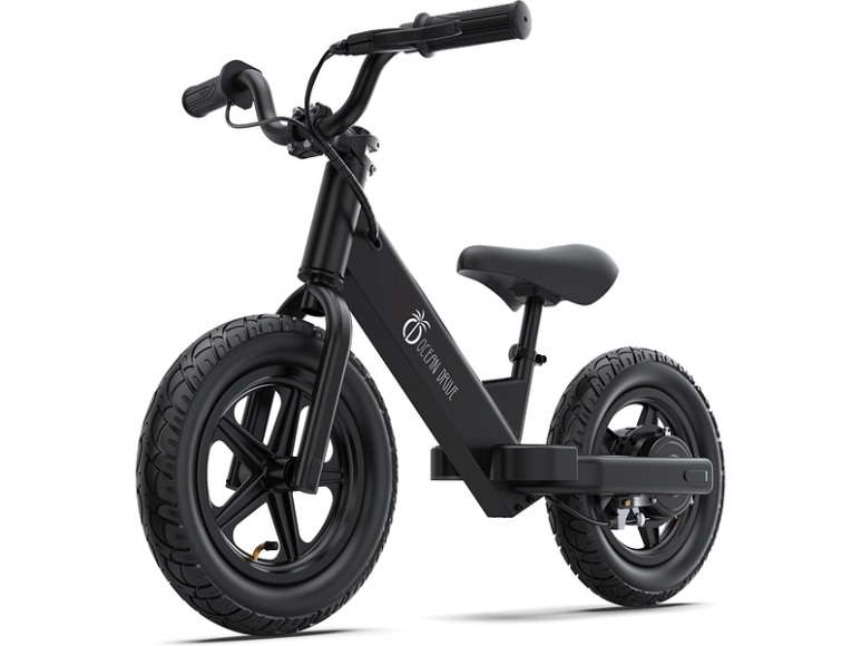 OCEAN DRIVE Elektrofahrrad OD-BIKE-B1 100W 10KM