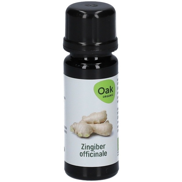 Oak ätherisches Ingwer-Öl BIO