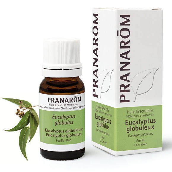 Pranarôm Pranarom Eukalyptus