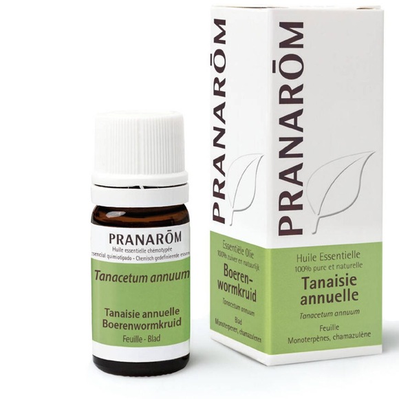 Pranarôm Pranarom Tanacetum Annuum