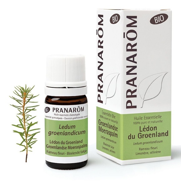 Pranarôm Pranarom Ledon du Groenland