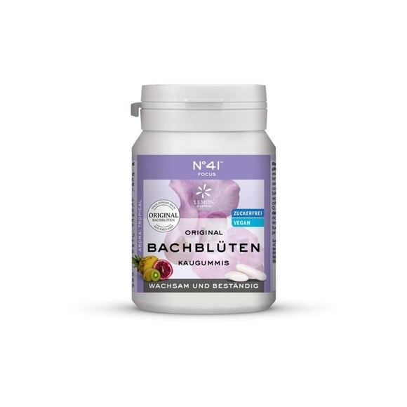 BIOLIGO Kaugummi Konzentration (60 g)