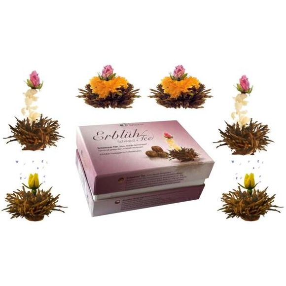 Creano Erbl?htee 6er Box, 3 Teesorten