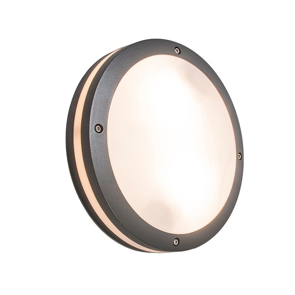 Wand- und Deckenleuchte anthrazit IP54 - Glow