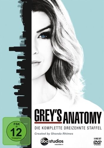 Grey's Anatomy, Die jungen Ärzte. Staffel.13, 6 DVDs