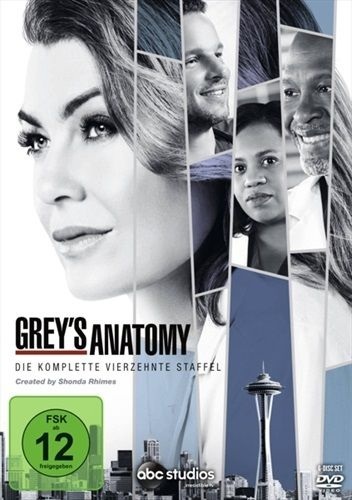 Grey's Anatomy. Staffel.14, 6 DVDs