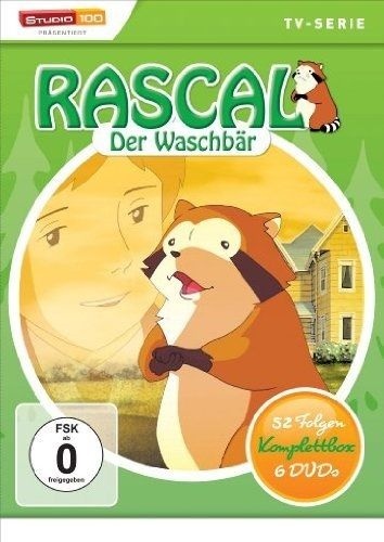 Rascal der Waschbär