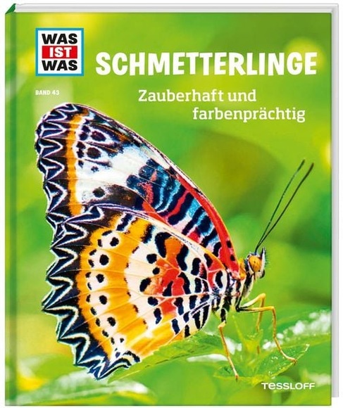 Schmetterlinge