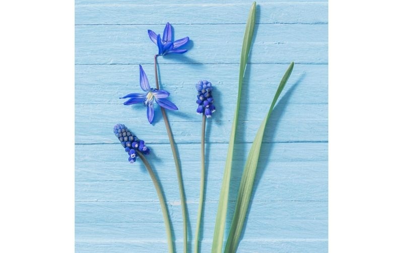 Paper + Design Paper + Design Servietten Blue