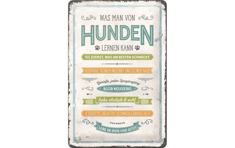 Blechschild Von Hunden lernen 20 x 30