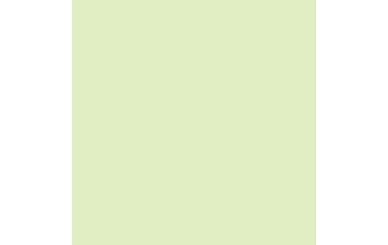 PAPYRUS Rainbow Papier FSC A3 88042588 80g, grün 500 Blatt