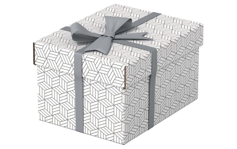 ESSELTE Aufbewahrungsboxen Home S 628280 255x200x150mm, weiss 3 Stk
