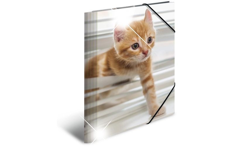 Herma Sammelmappe A4 Tiere - Katzen