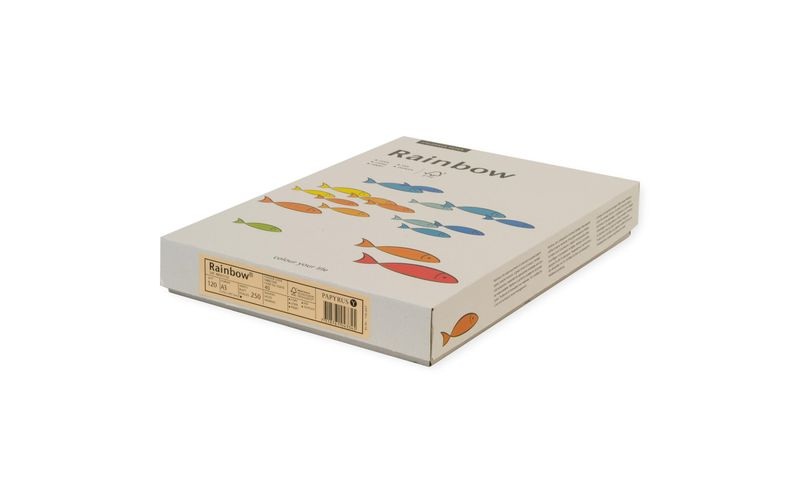PAPYRUS Rainbow Papier FSC A3 88042591 hellgrün, 120g 250 Blatt