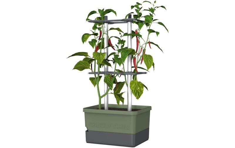 Gusta Garden Pflanzkübel »CHARLY CH«