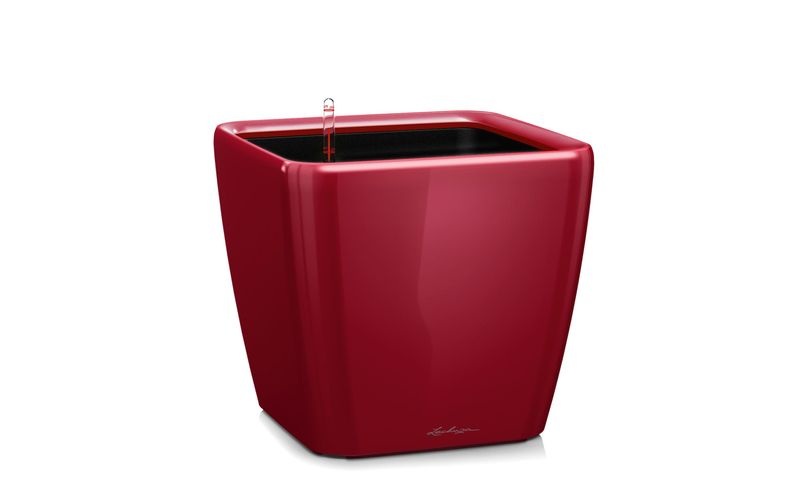 Lechuza - 4er-Set Blumenkästen mit Integriertem Bewässerungssystem Quadro Premium 21 LS - Rot