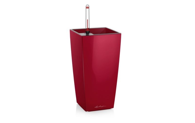 Lechuza Pflanzentopf Maxi cubi Rot, Farbe
