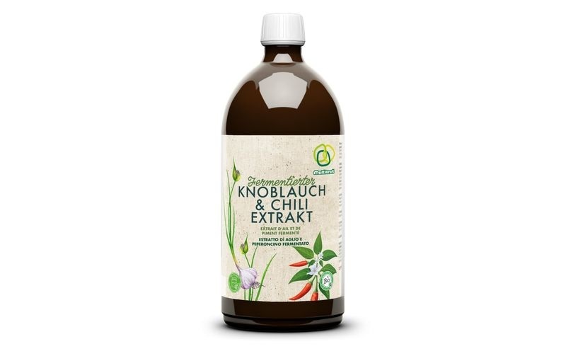 Multikraft Konzentrat BIO Fermentierter Knoblauch-/Chiliextrakt, 1 l