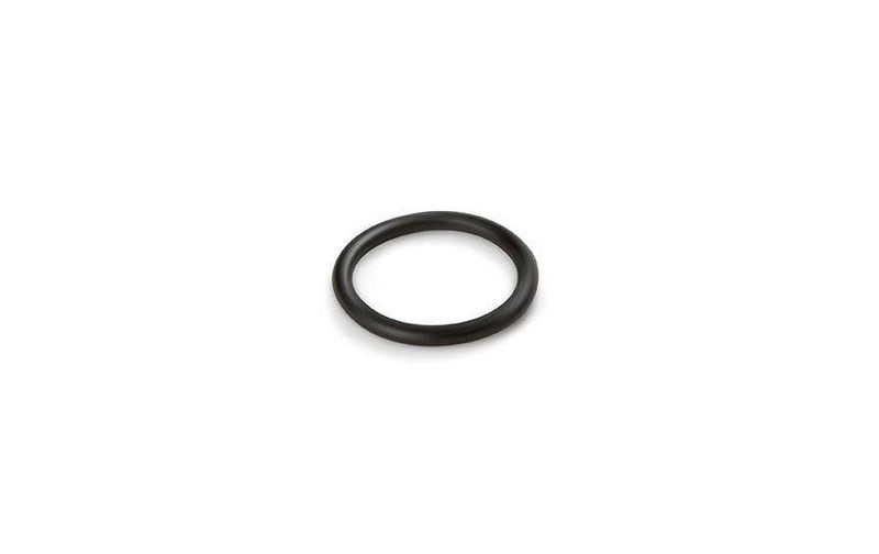 Intex Ersatzteil Dichtungsring f?r