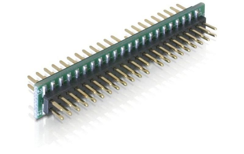 DeLock Adapter IDE 44 Pin Stecker