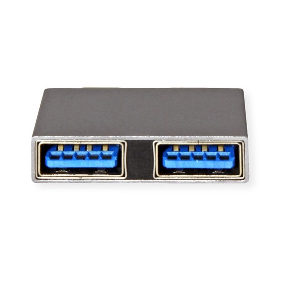 ROLINE USB 3.2 Gen 2 Adapter, 2x USB Typ C - 2x Typ A, ST/BU, silberfarben