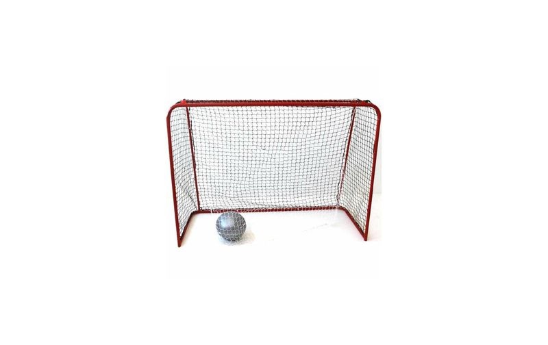 Eurostick Unihockeytor Bandit Maxi