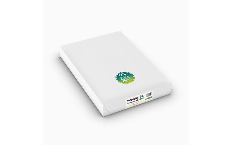 Clairefontaine Kopierpapier Evercolor A3, Chamois, 80 g/m²,500 Blatt