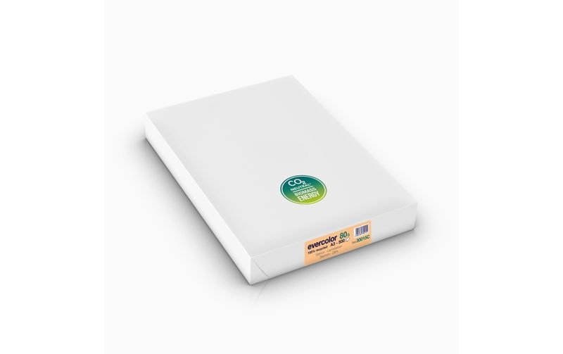 Clairefontaine Kopierpapier Evercolor A3, Lachs, 80 g/m²,500 Blatt