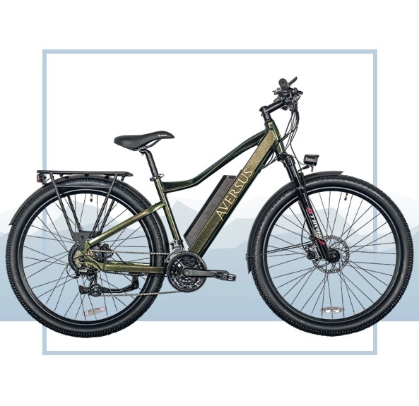 Aversus E-Bike City Runner (2023) 27.5 Zoll, Grün