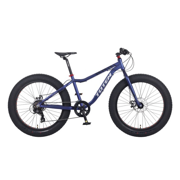 MTB Fatbike 26