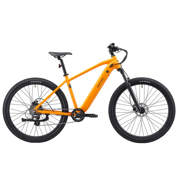 E-Bike Mountainbike 29