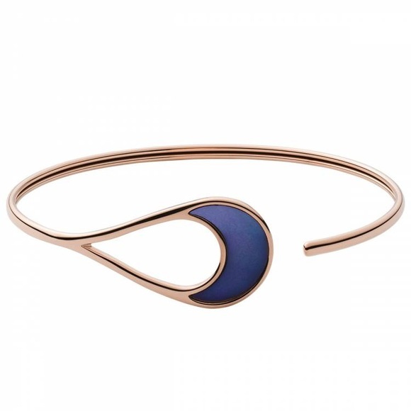 Skagen SKJ1363791 Armband