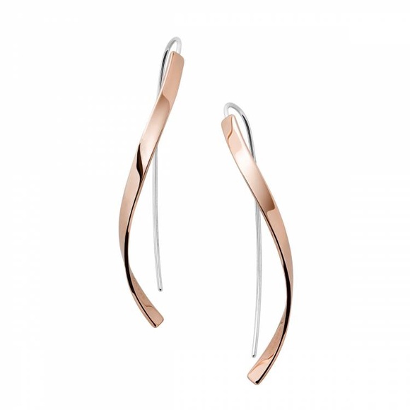 Skagen SKJ1328791 Ohrringe